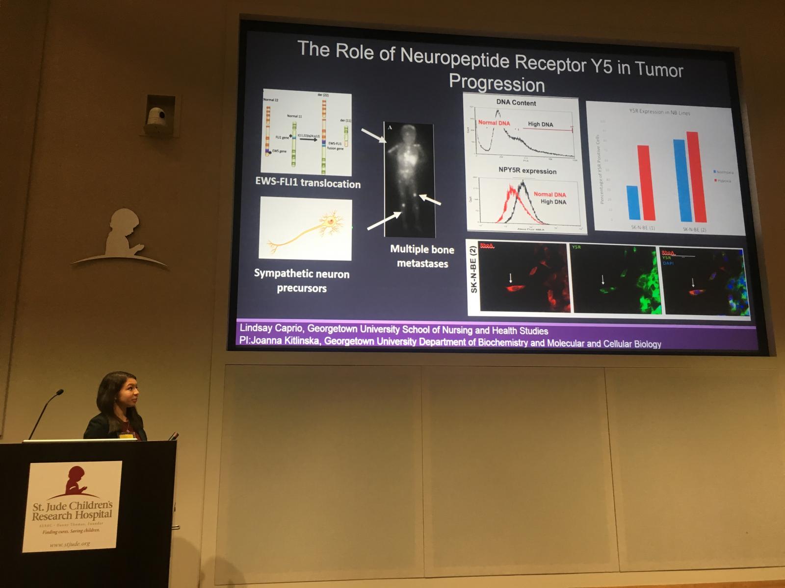 Lindsay Caprio at a podium with a slide projected on a screen next to her titled “The Role of Neuropeptide Receptor Y5 in Tumor Progression”
