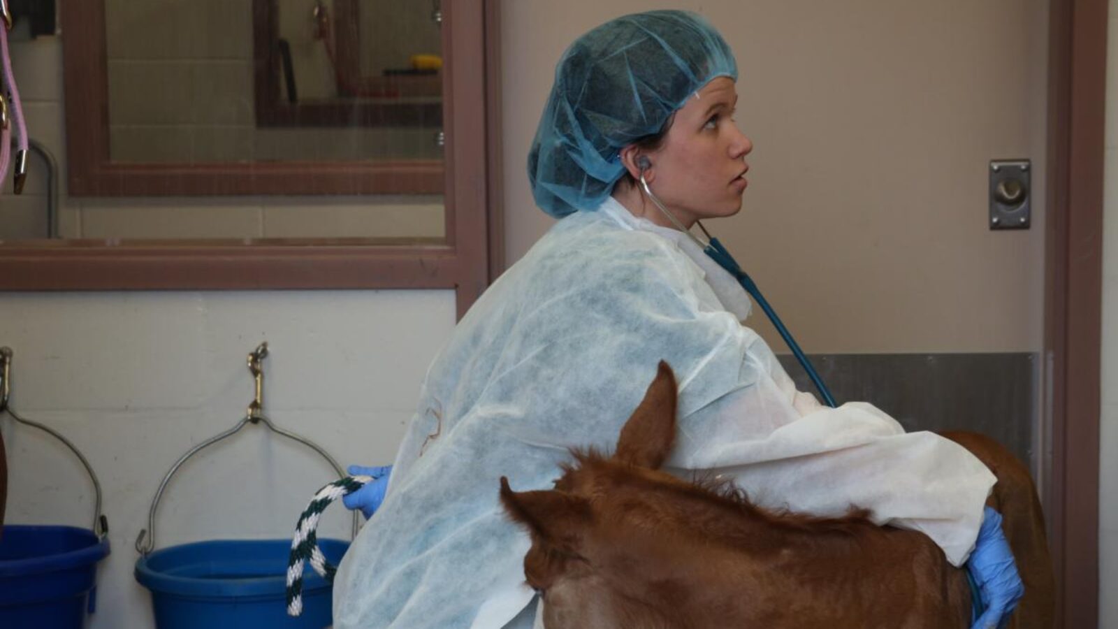 Gallagher examines a foal she named 
