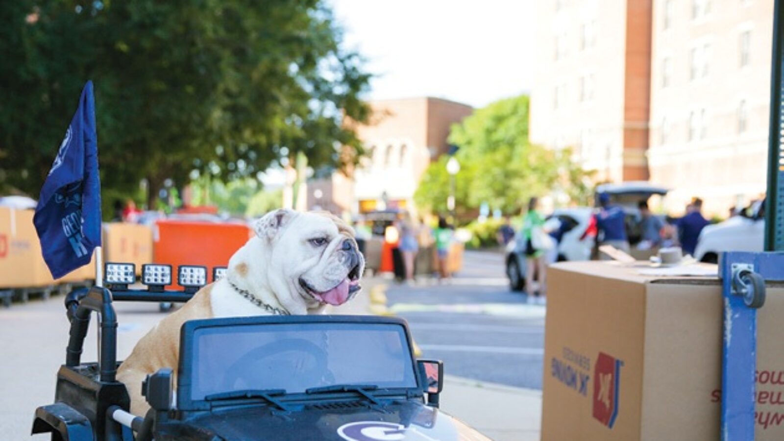 jack riding in tiny jeep