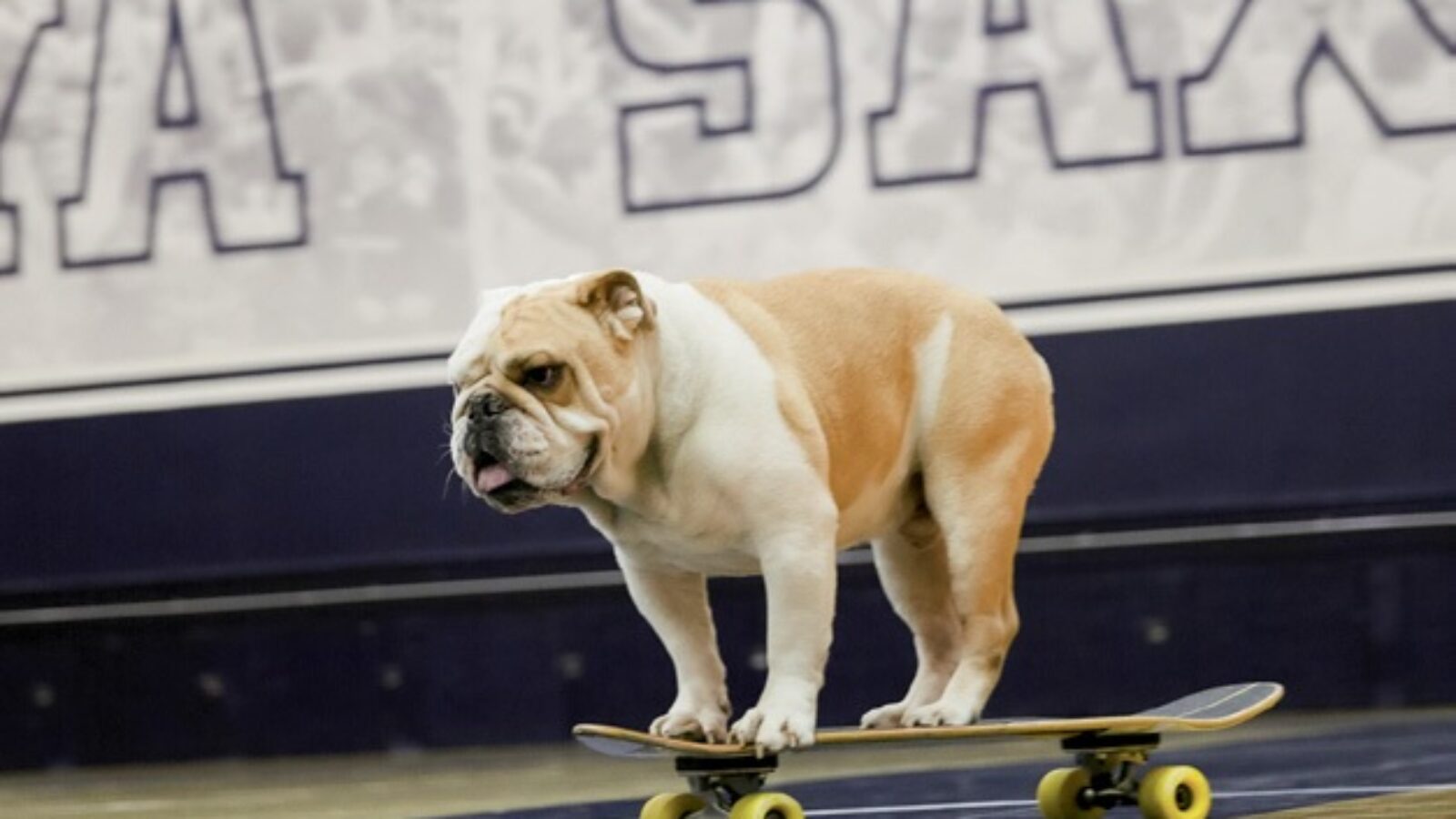 jack riding skateboard
