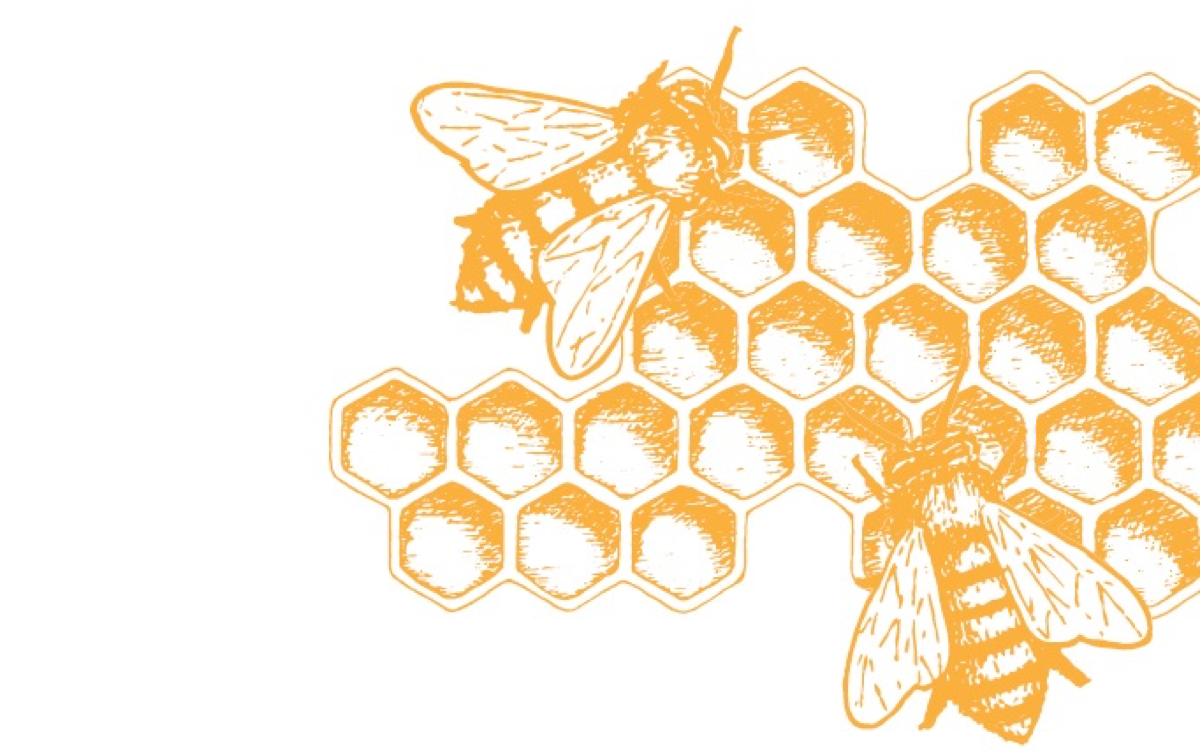bees with honey comb crop