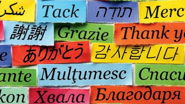 words in different languages collaged