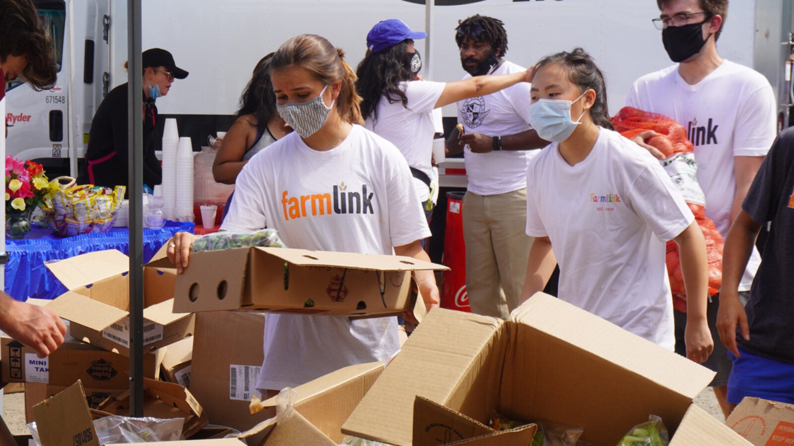 This past summer, Georgetown students worked remotely with other Farmlink teams help bridge the gap between two problems brought on by the pandemic: farmers with surplus produce and people facing food insecurity.
