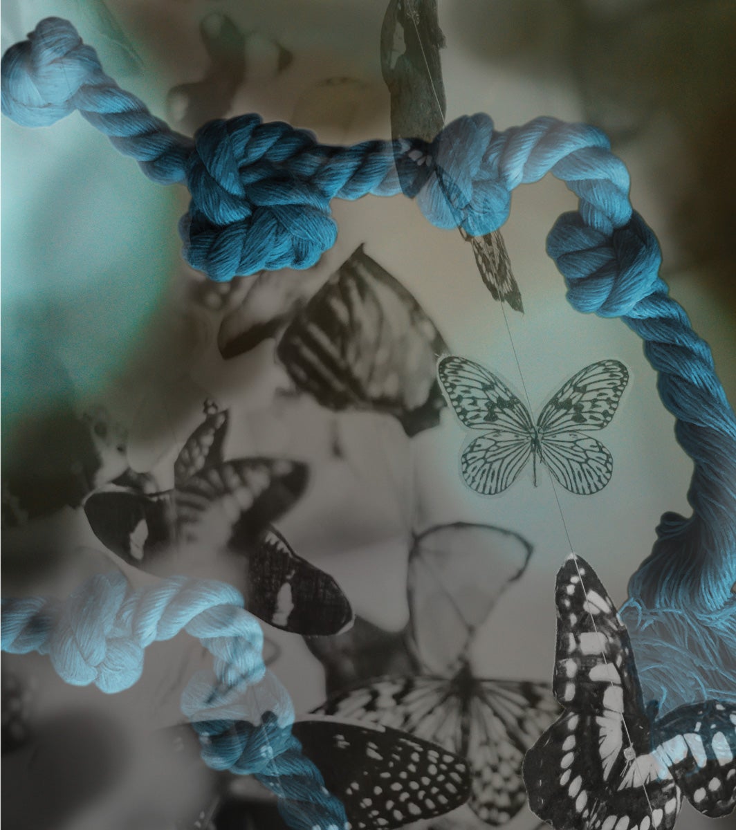 sketch with butterflies and a blue rope