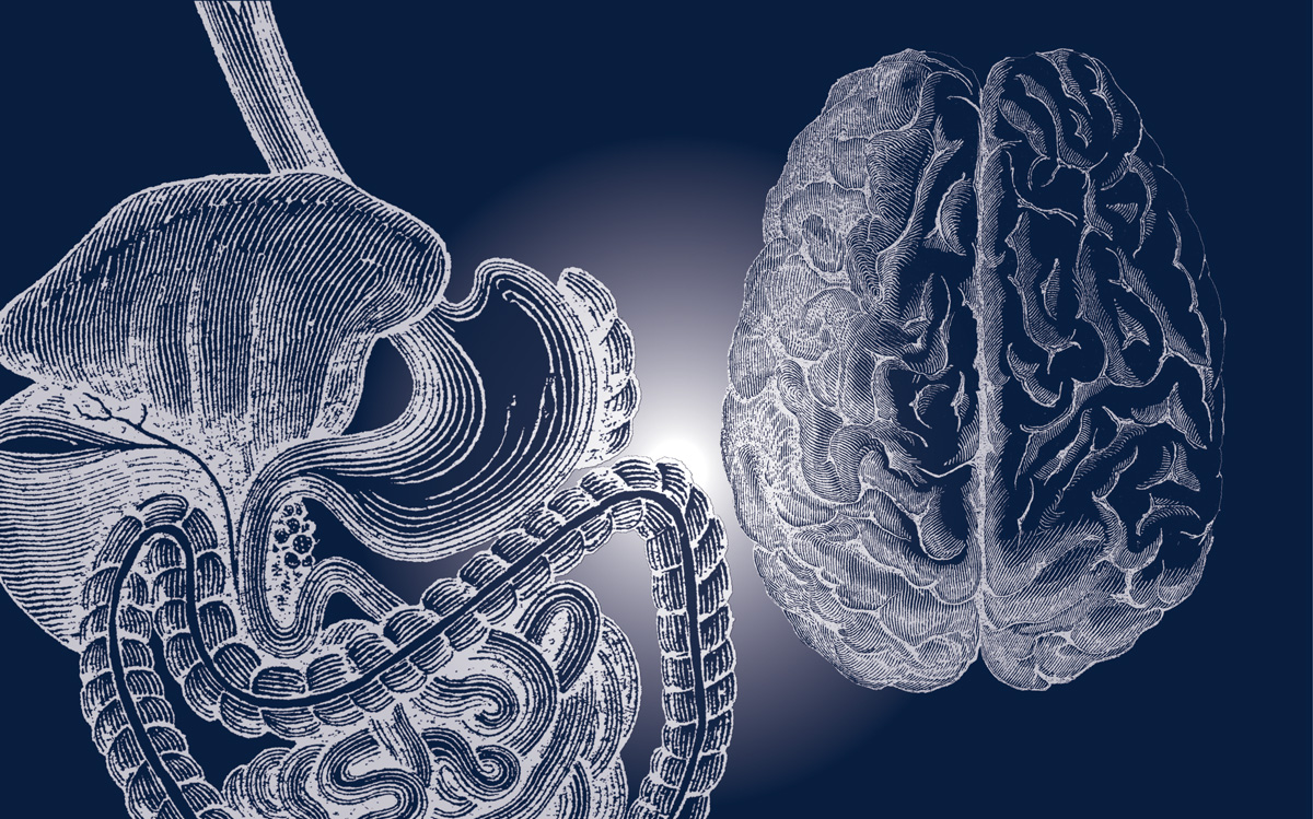 harmony gut. brain crop