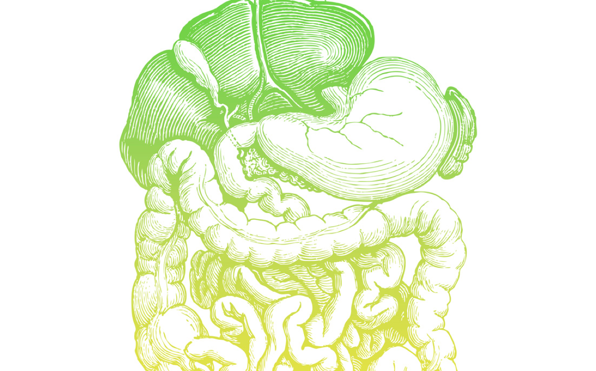 why gut why now thumb