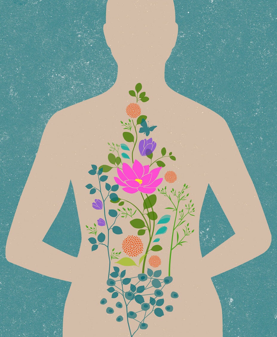 illustration of person with flowers inside their body
