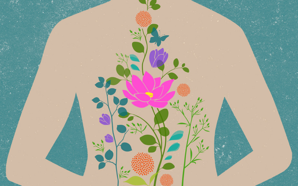 reusch graphic thumb