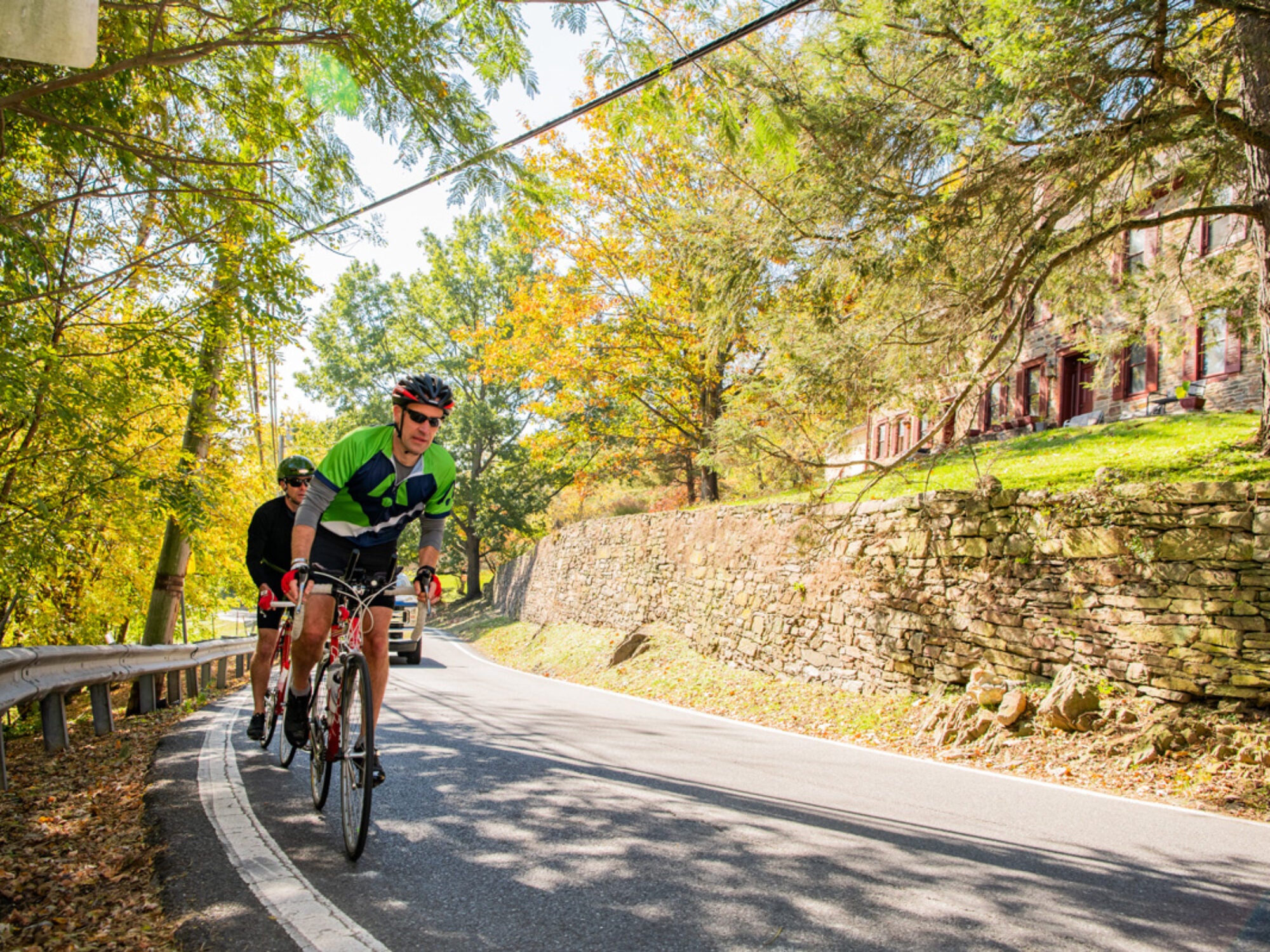 bikers riding in the forest