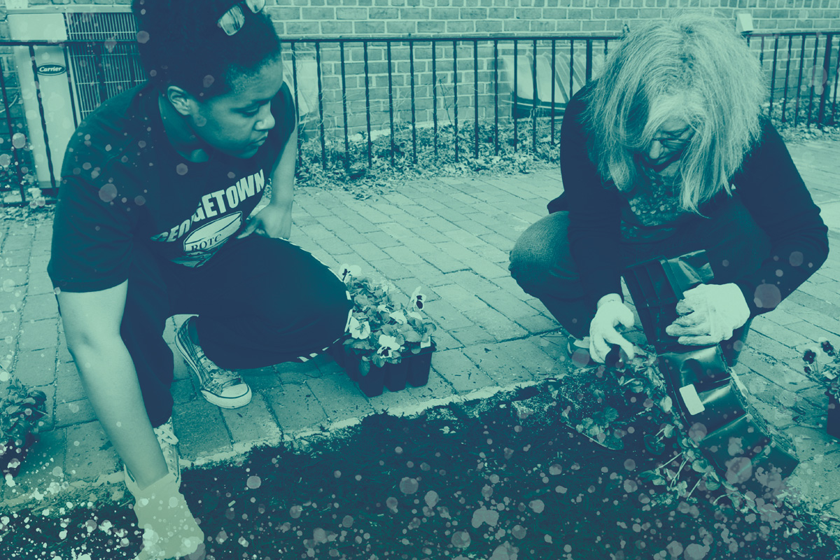 bridging health care and the environment cover