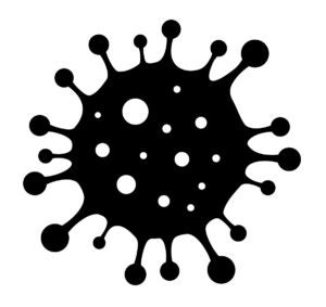a coronavirus spore