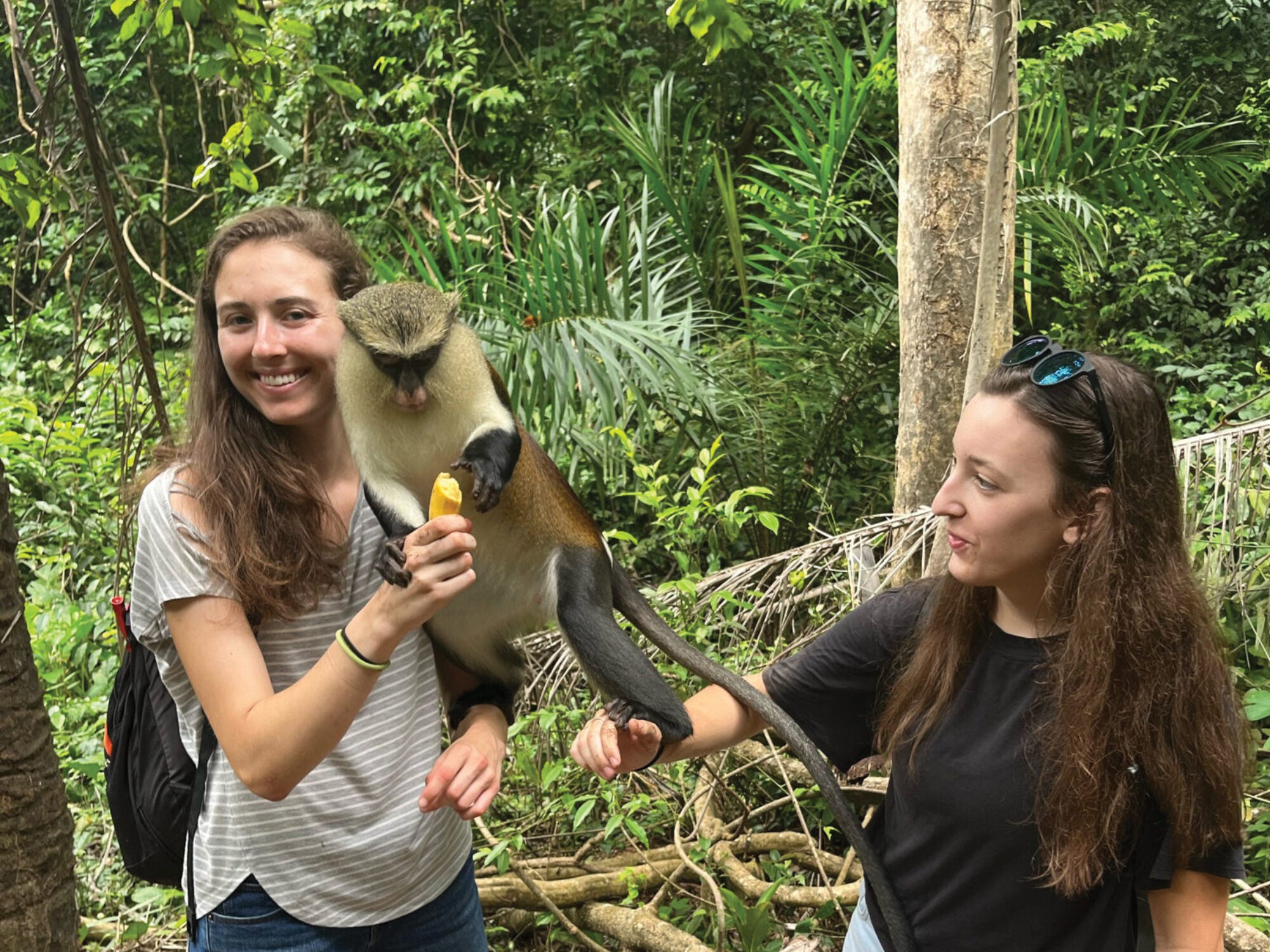 monkeys with students