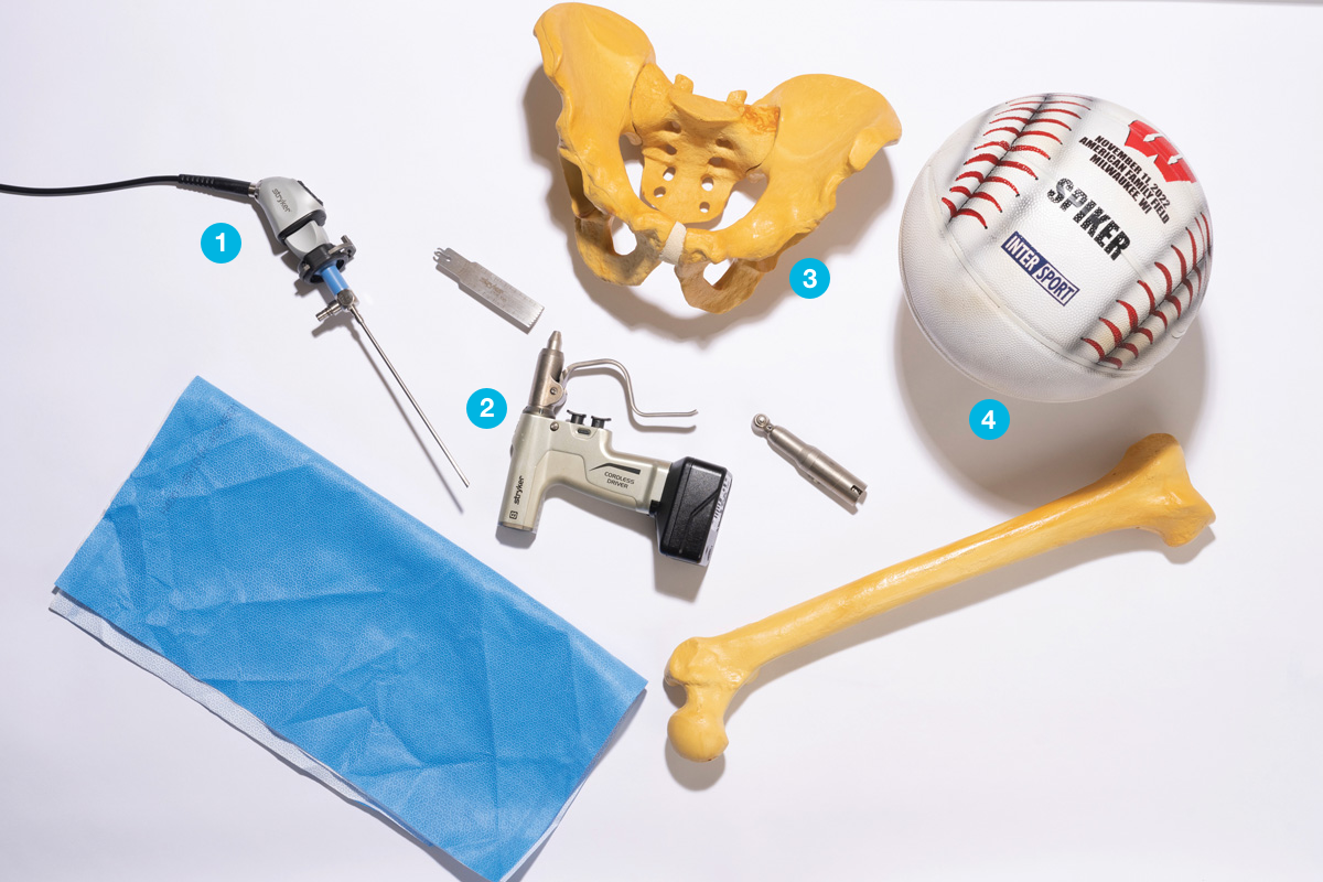 tools including a baseball and a model of a hip