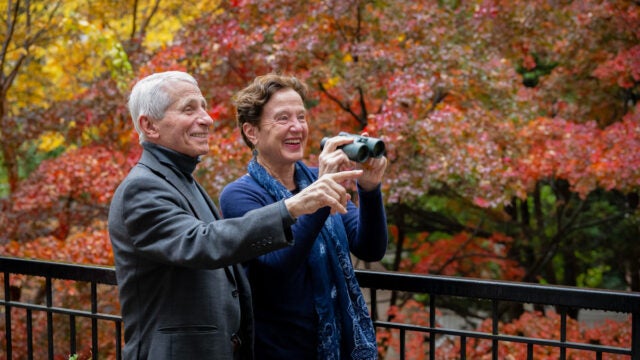 a man and a woman with binoculars look for birds in bright autumn foliage