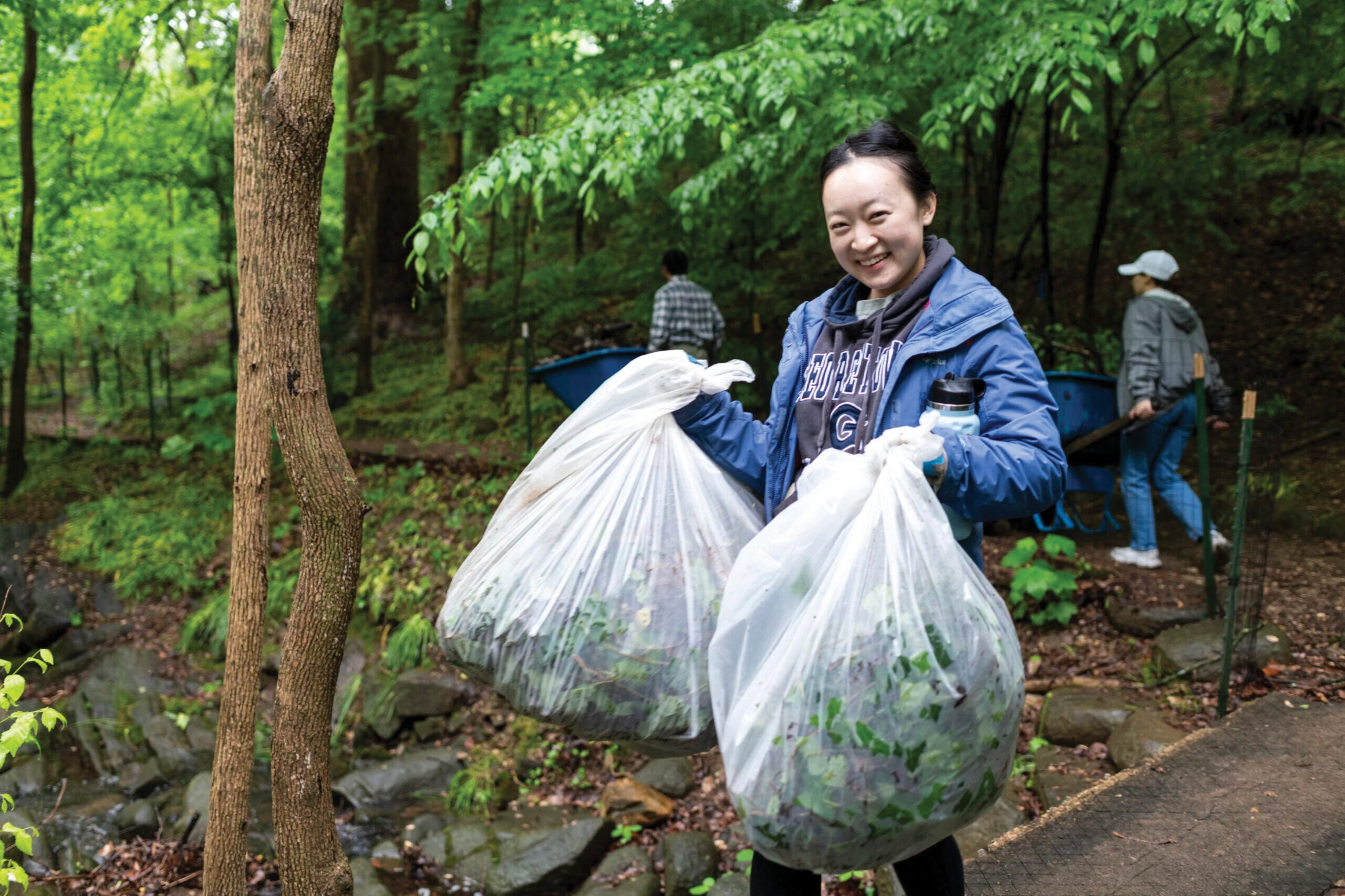 A volunteer with the Club of Metro DC at Dumbarton Oaks Park helps clear invasive species | Photo: Charles Siwinski