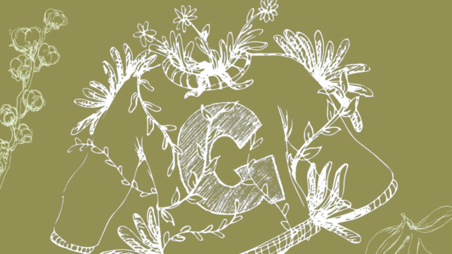 plants around georgetown sweater