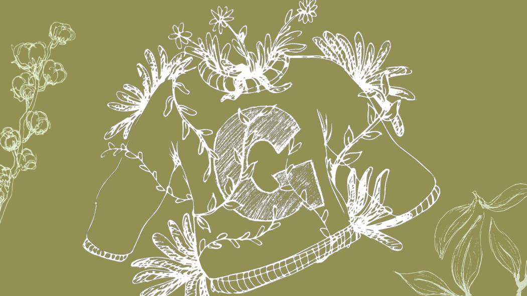 georegtown sweatshirt surrounded by plants