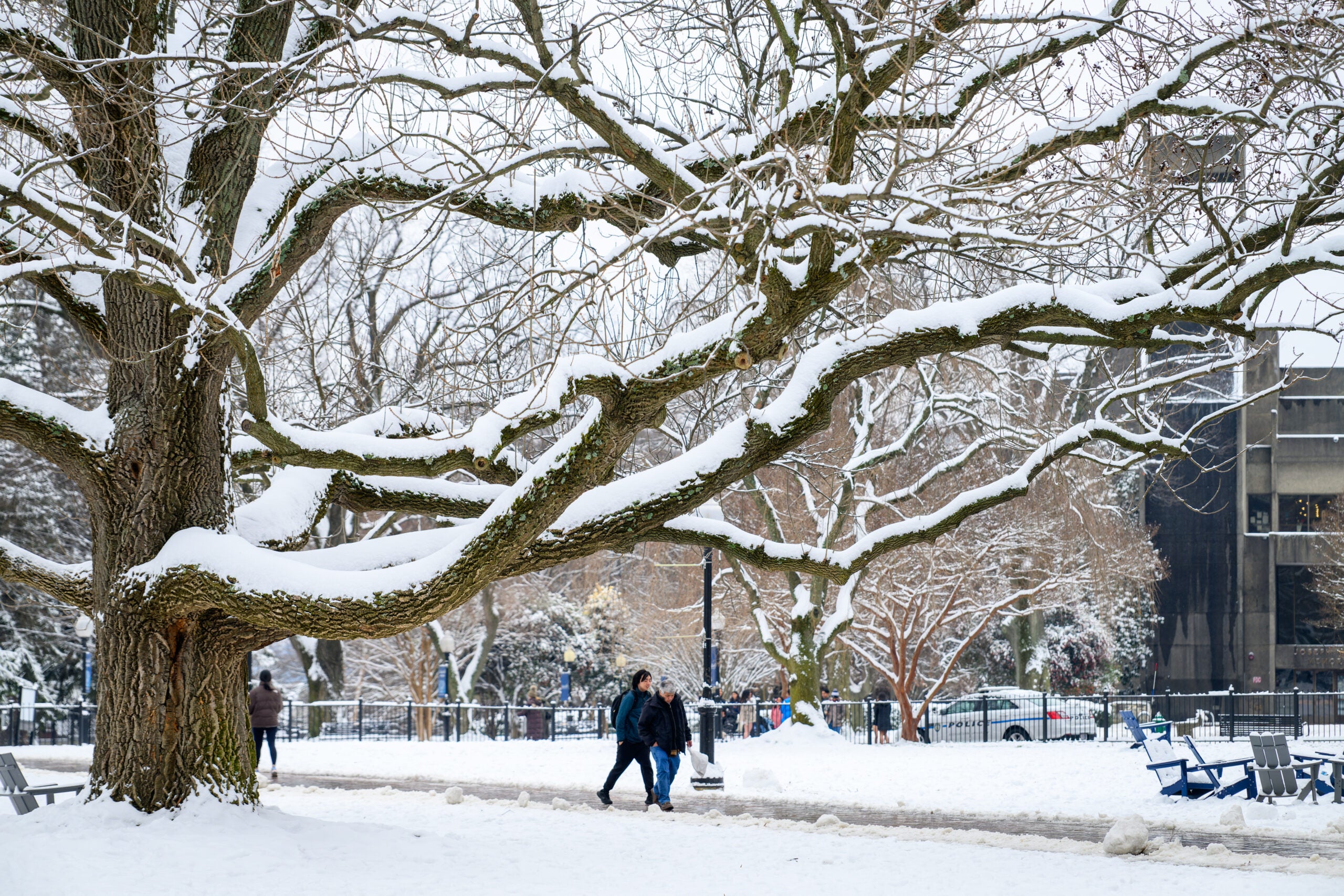 People walking in the snow in front of Joseph Mark Lauinger Memorial Library.