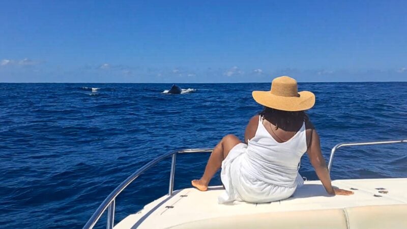 Renowned singer Michaela Harrison (SFS’92) created the Whale Whispering Project following her encounters with humpback whales in Brazil, sharing the beauty of whale song. Her latest release is “Love Wins,” a meditative call-and-response.