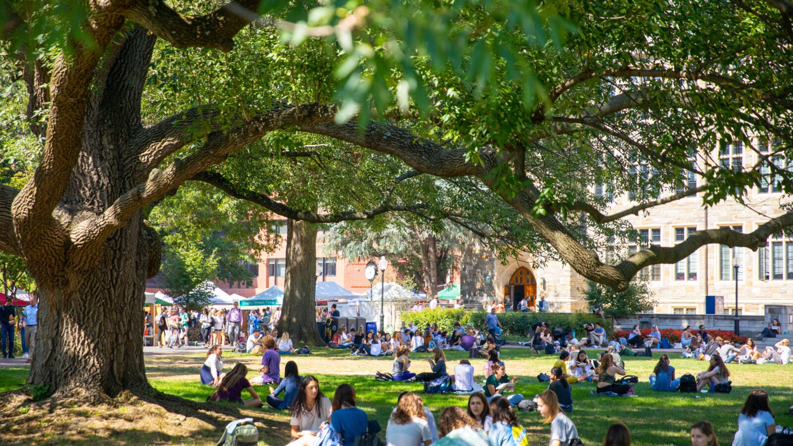 A group of people on Georgetown's front lawn.