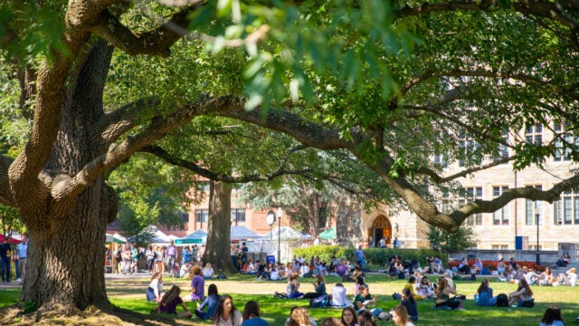 A group of people on Georgetown's front lawn.