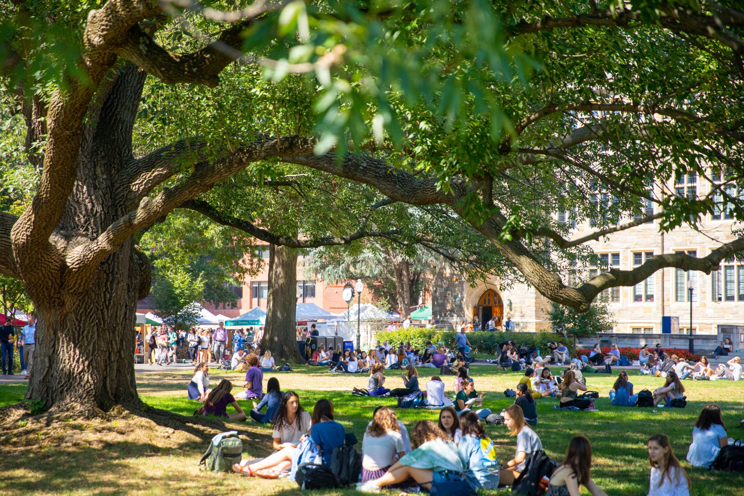 A group of people on Georgetown's front lawn.