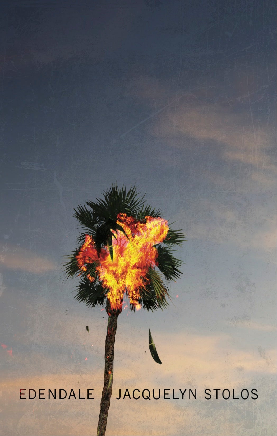 Edendale by Jacquelyn Stolos Book Cover