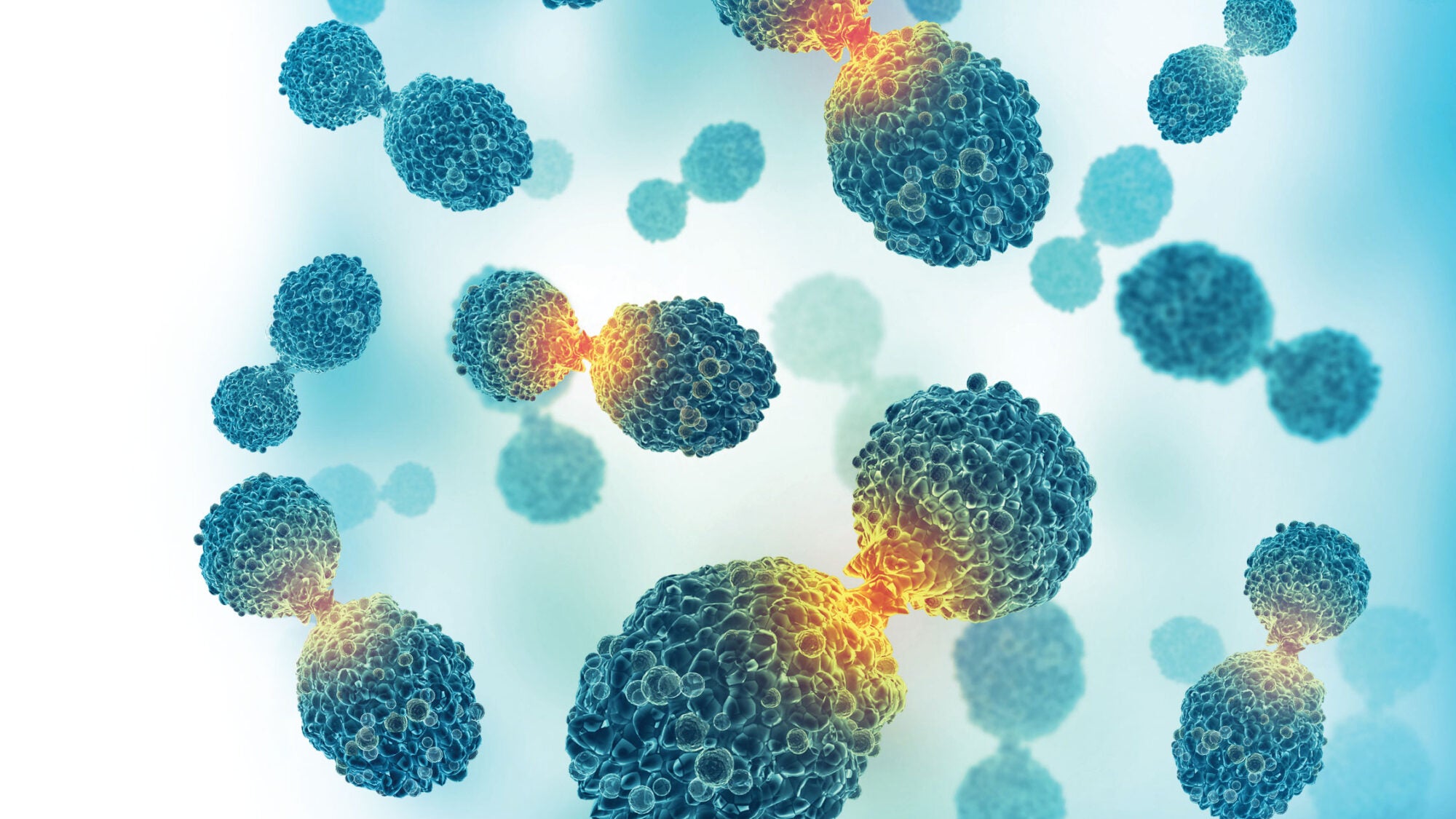 cancer cells