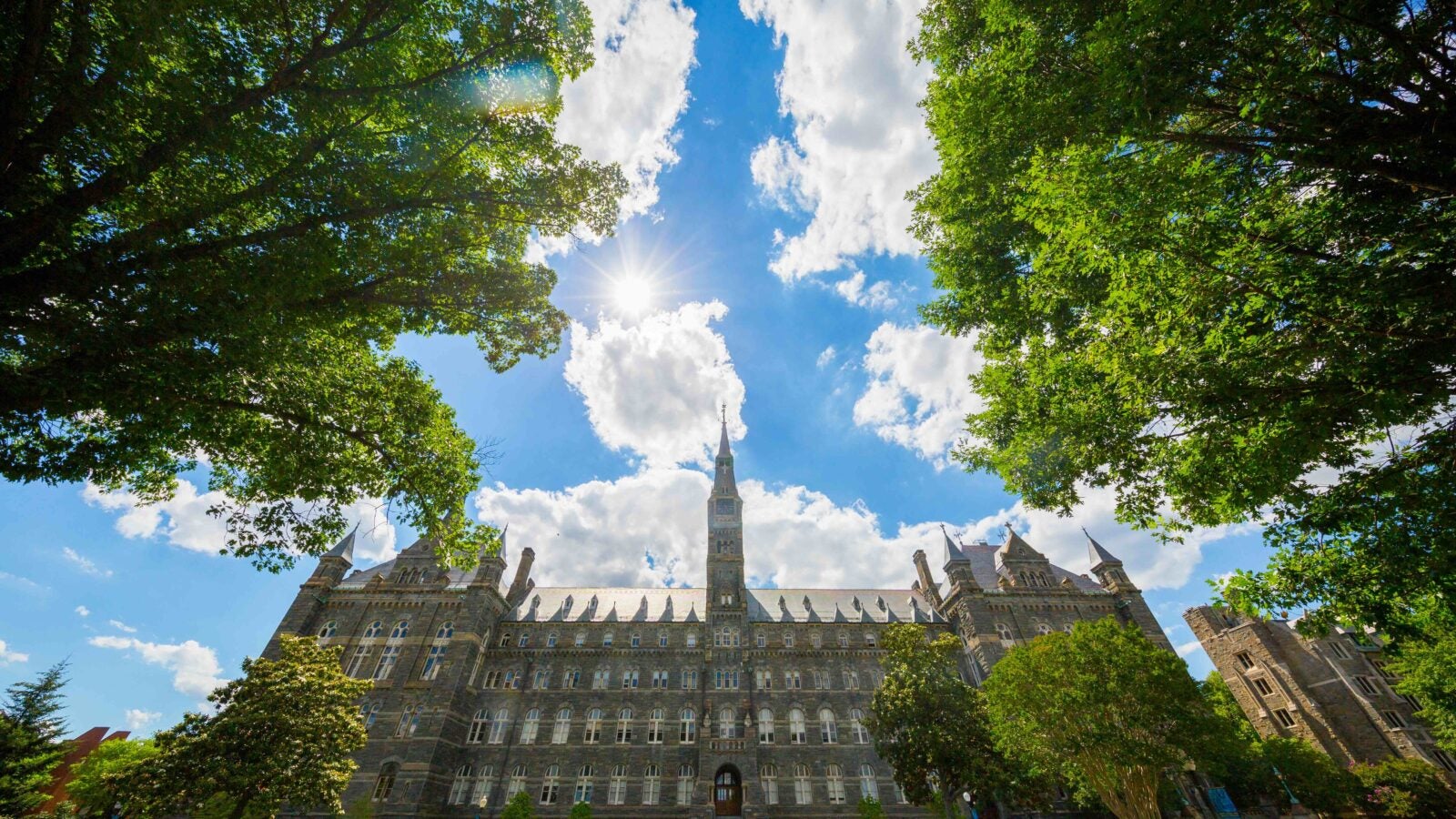 healy hall