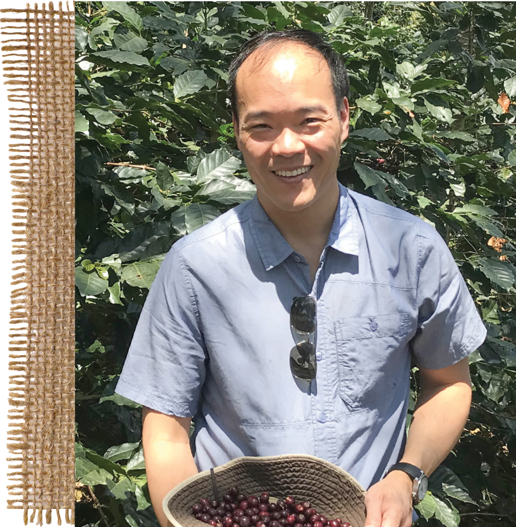 Al Liu (SFS’95), shown here picking ripe coffee cherries in southwestern Honduras, got his start in coffee by managing the Uncommon Grounds cart in Leavey Center.
