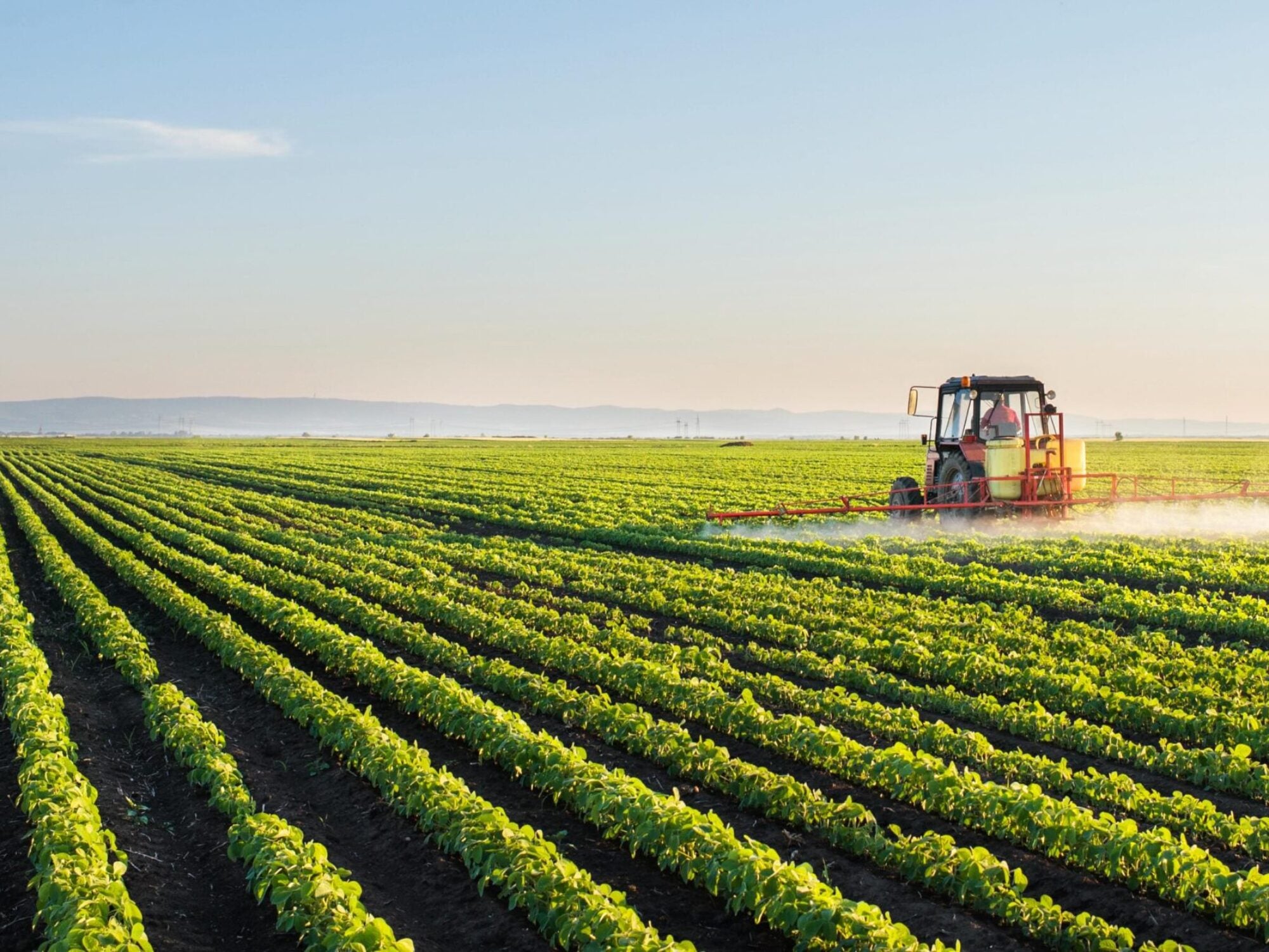 Tractor spraying soybean field at spring