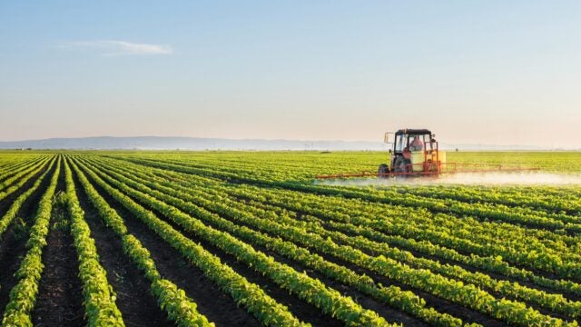 Tractor spraying soybean field at spring