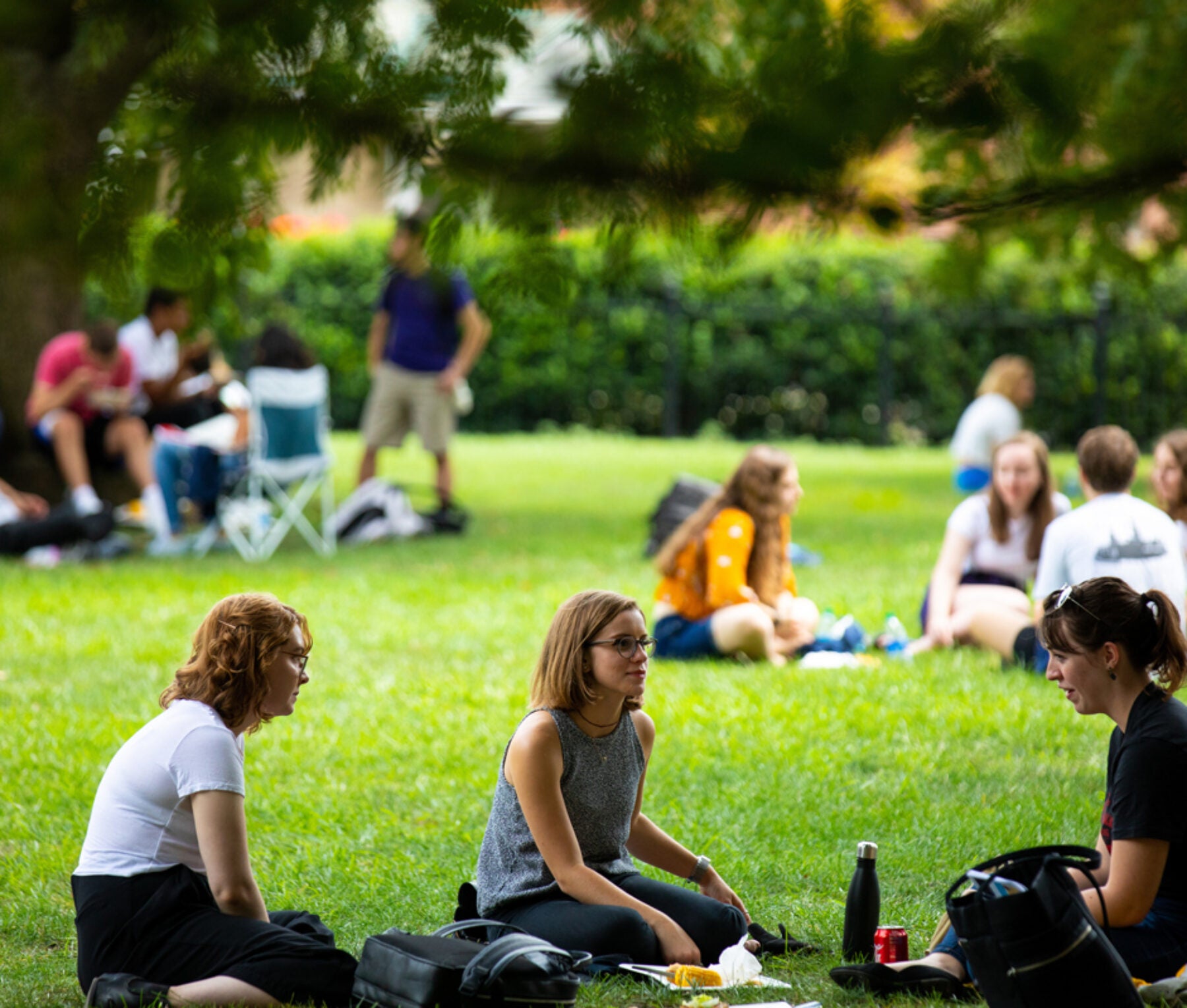 students sitting on healy lawn