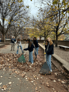 people raking up a pile of leaves on an esplanade