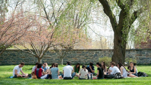 Georgetown students sitting in a circle on Healy lawn under a tree.